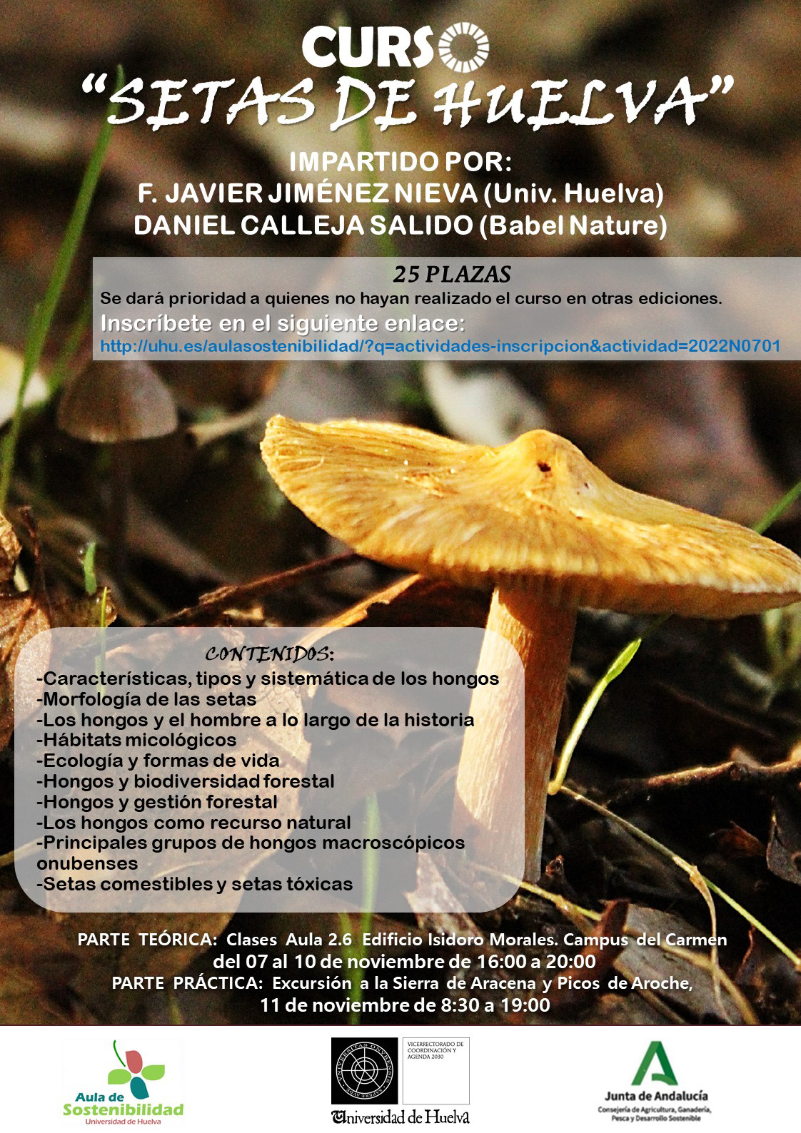 Curso Setas de Huelva 2022