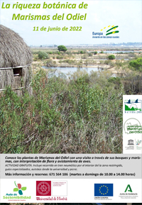 La riqueza botánica de Marismas del Odiel