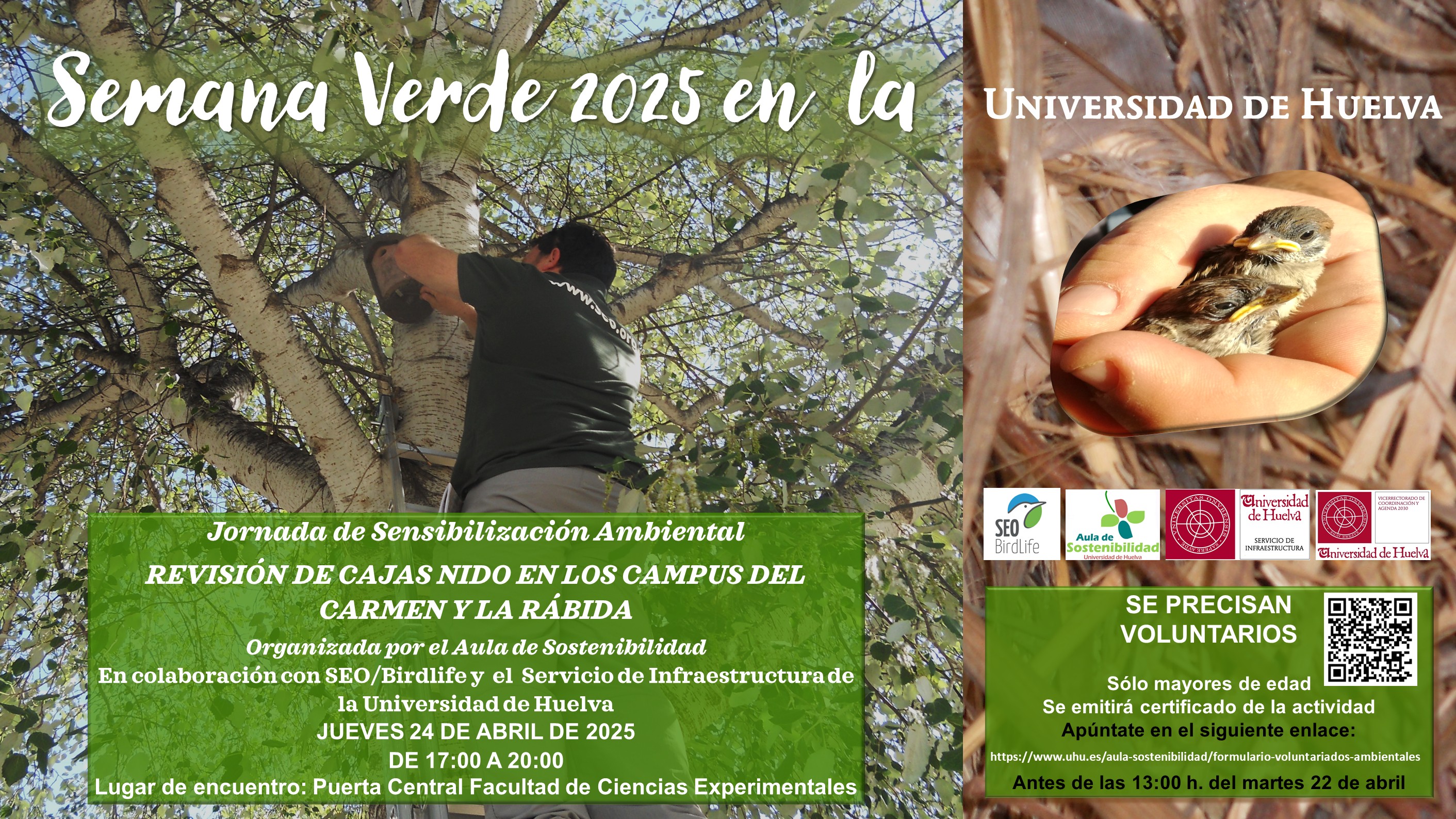 voluntariado ambiental