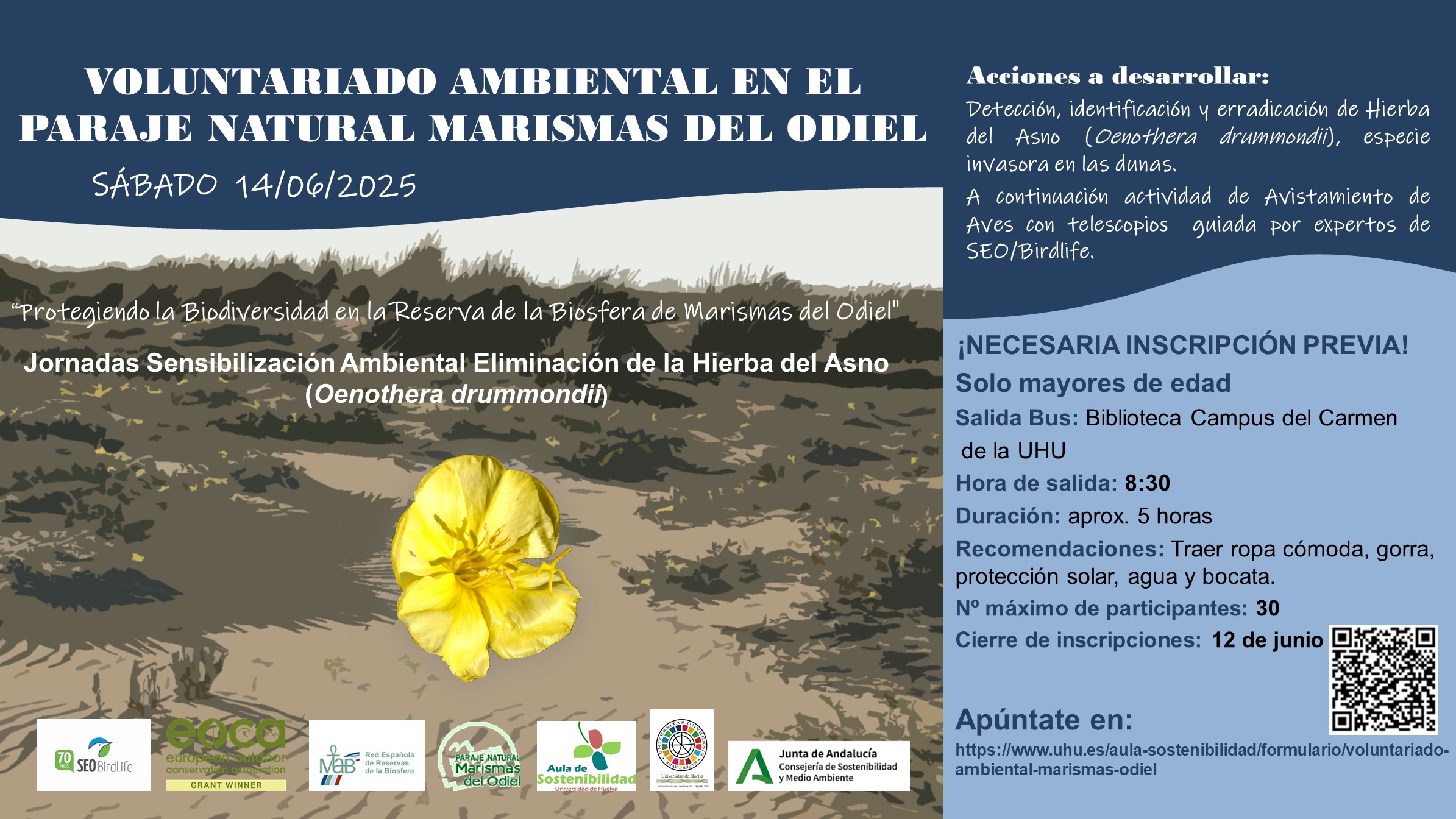 Jornada de Voluntariado Ambiental Eliminación de Exóticas