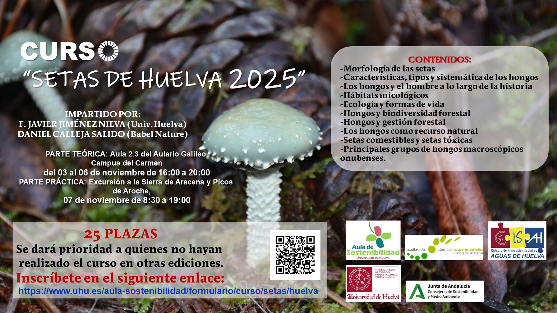 curso de setas 2025
