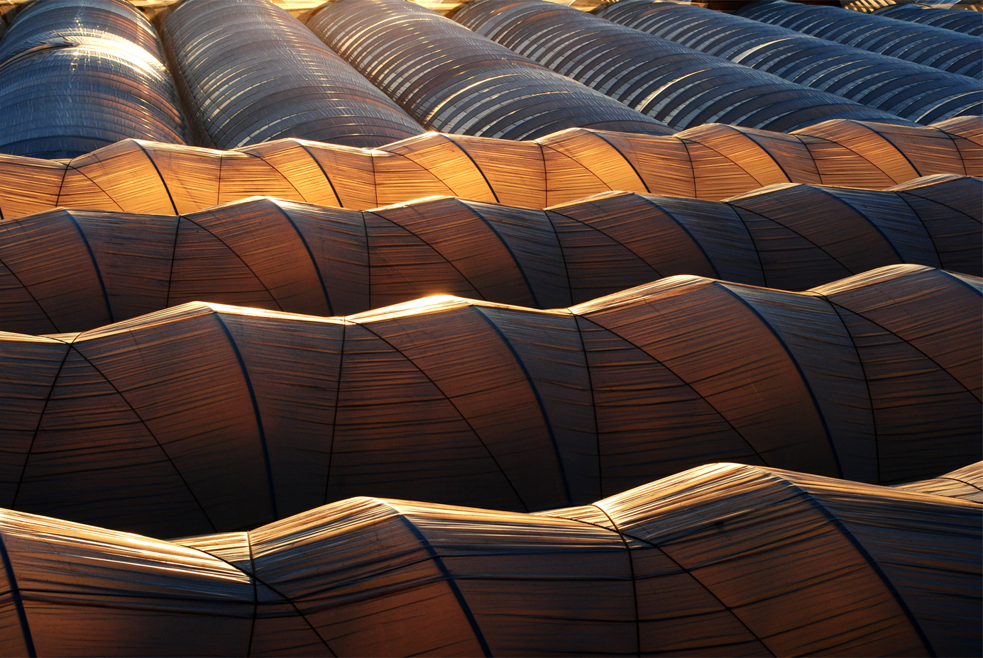 Primer Premio. Publico general (Rafael Fontela)