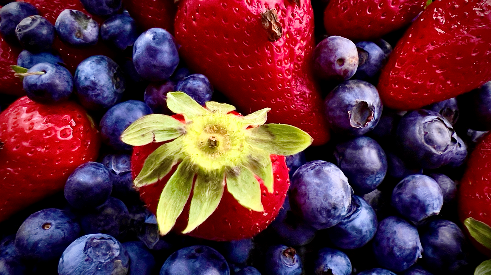 Tercer Premio. Publico general (Mónica Rodríguez)