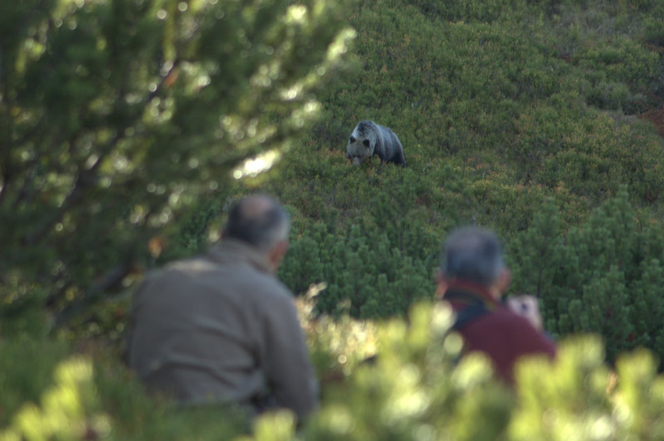 Imagen de archivo en el parque nacional de los Tatra