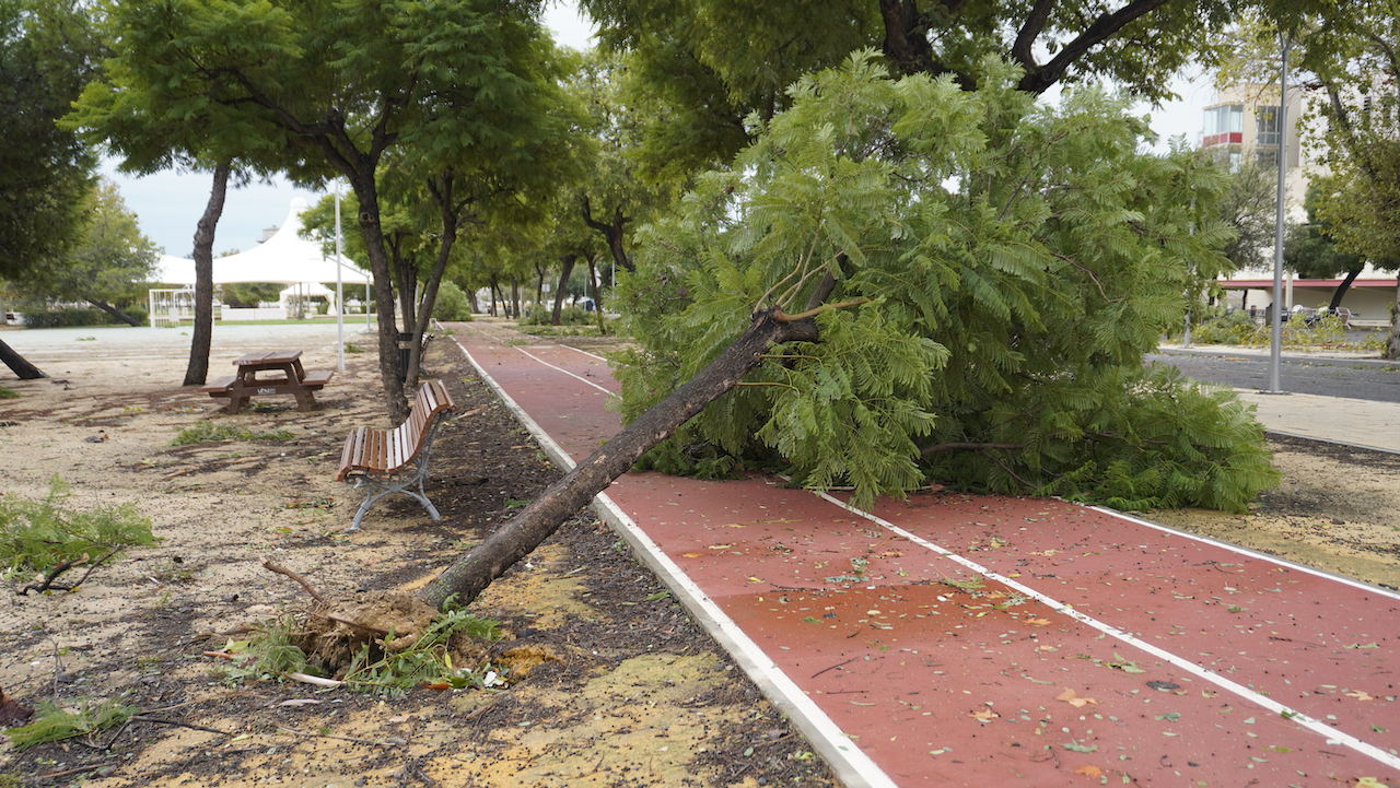 Visita Campus tras la borrasca Bernard 24 octubre de 2023