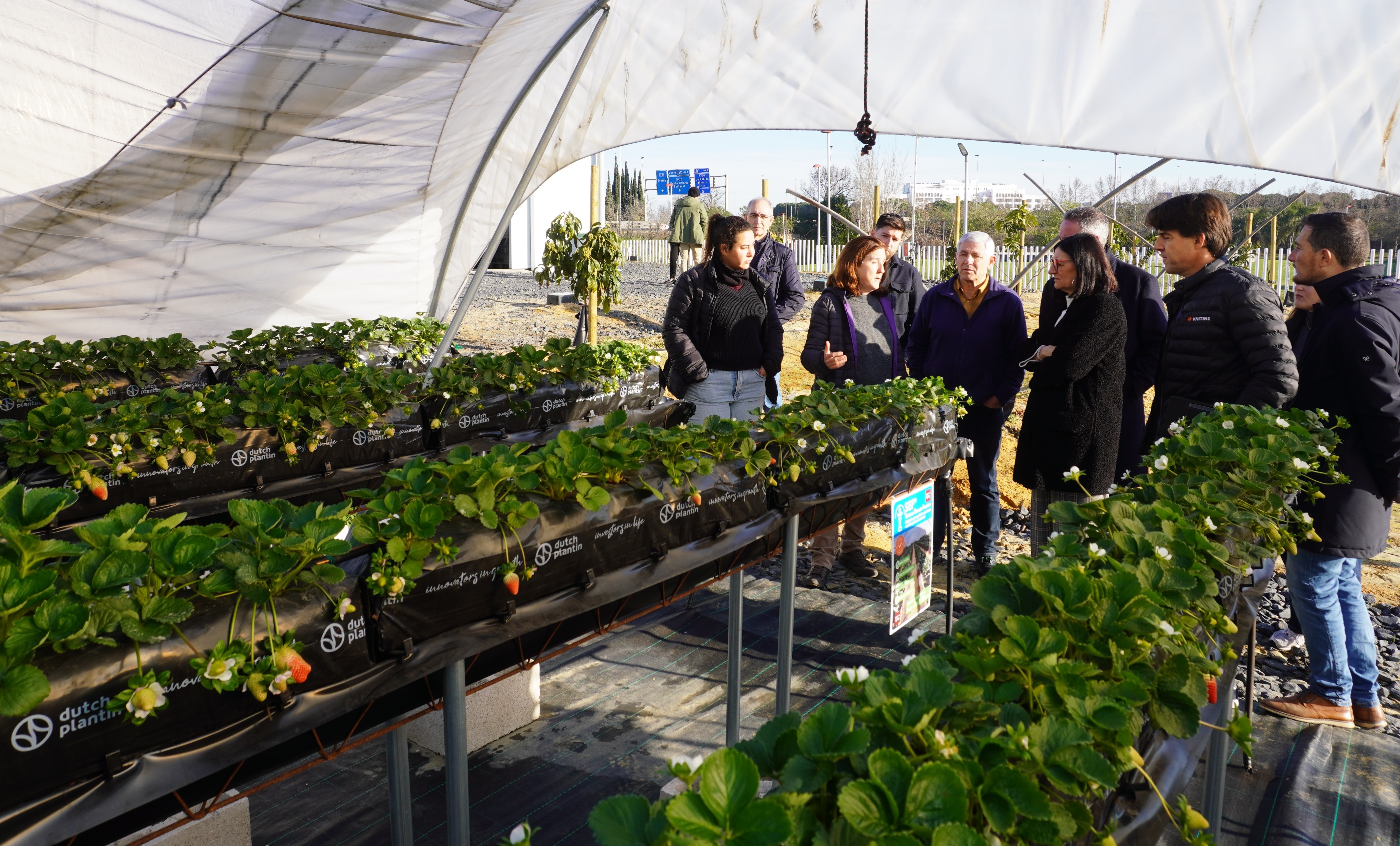 La UHU incorpora un equipamiento de riego y fertilización en la nueva planta experimental de Ciencias Agroforestales