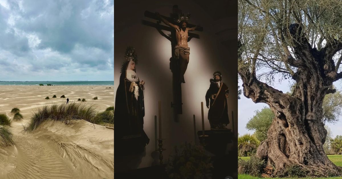 Erasmus Looks 2025 ya tiene ganadores: juventud, diversidad y la mirada europea sobre Huelva en una imagen