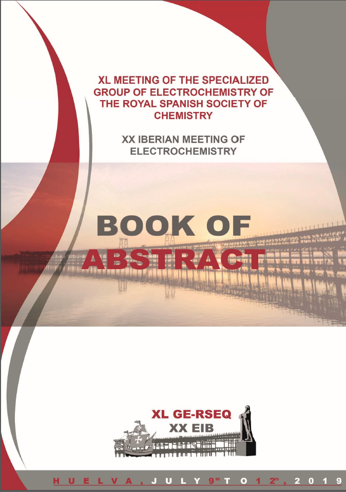 Portada de Xl meeting of the specialized group of electroc...