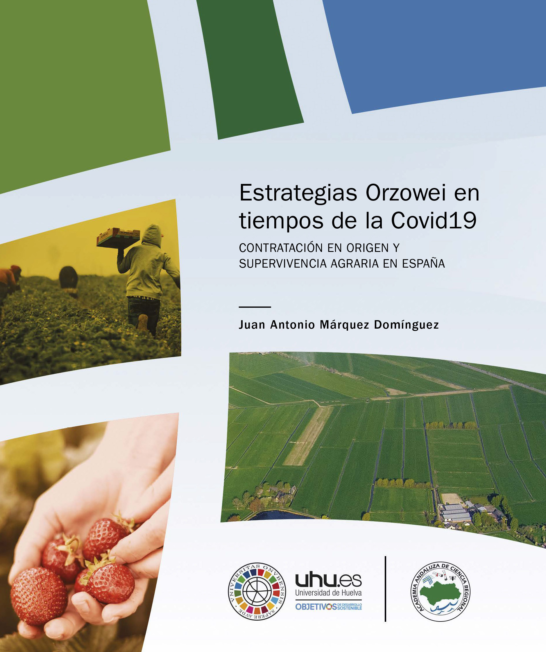 Portada de Estrategias orzowei en tiempos del covid19