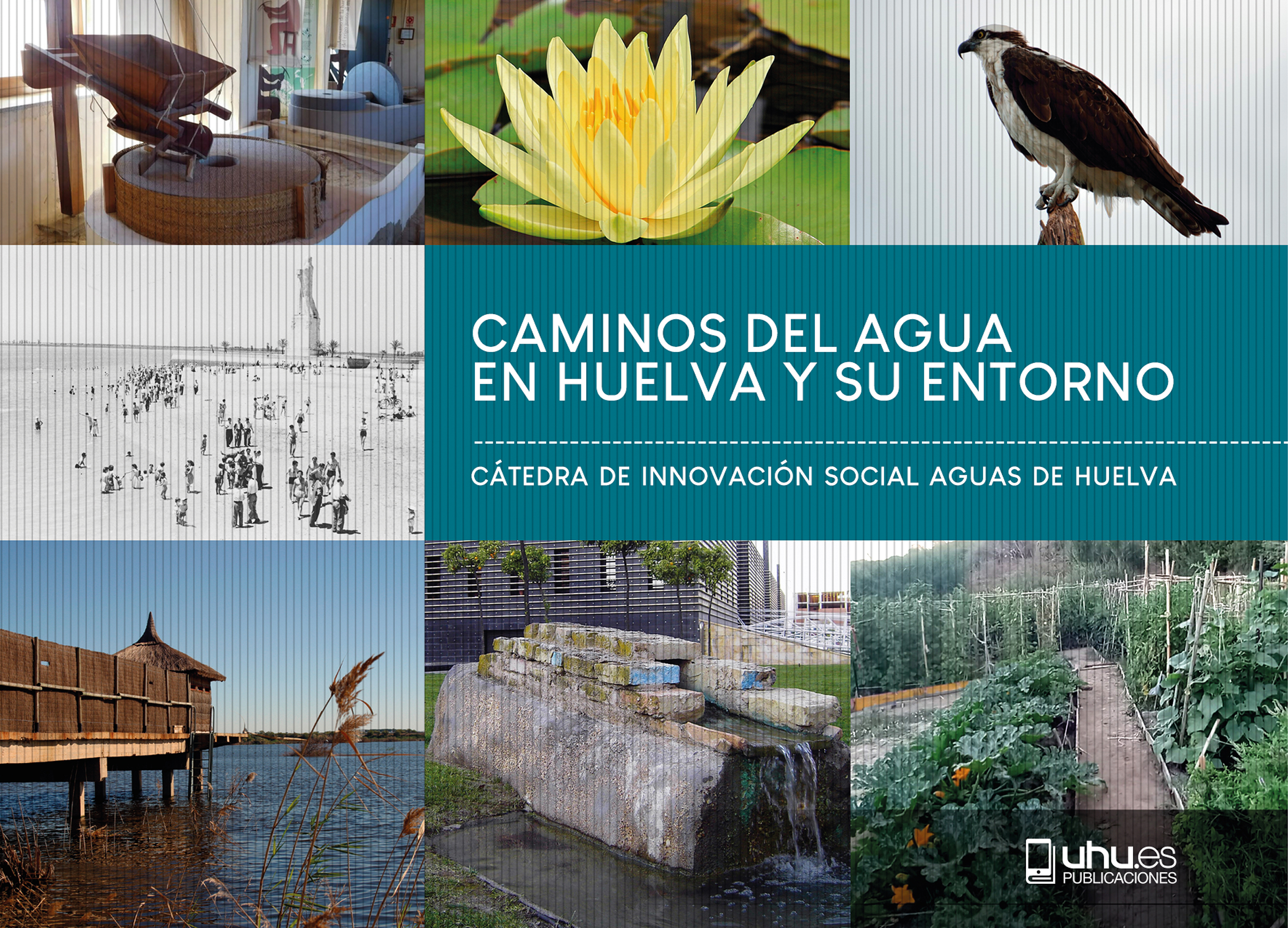 Portada de Caminos del agua en huelva y su entorno