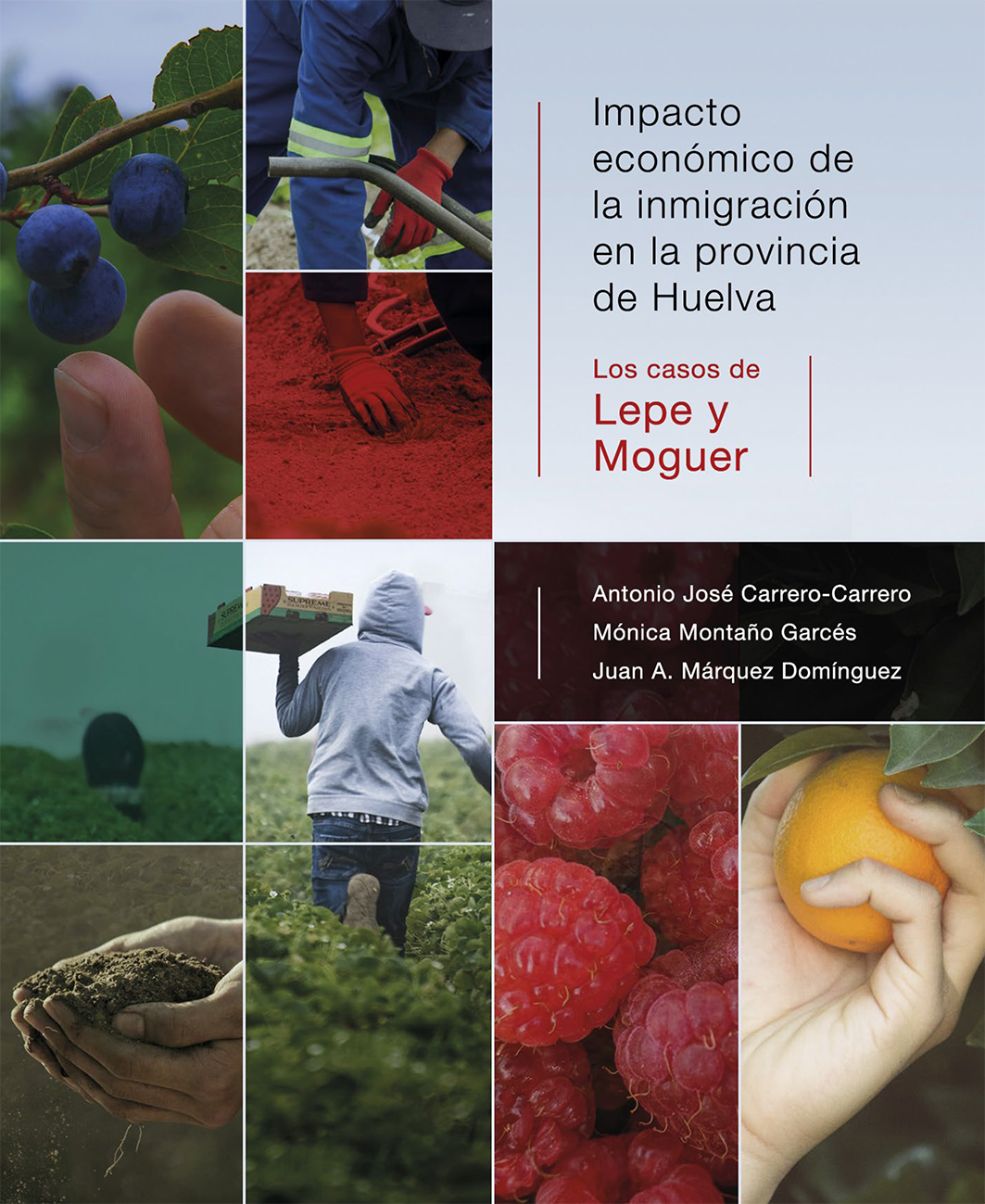 Portada de Impacto económico de la inmigración en la pro...