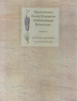 Illustrationes florae hispaniae insularumque balearium