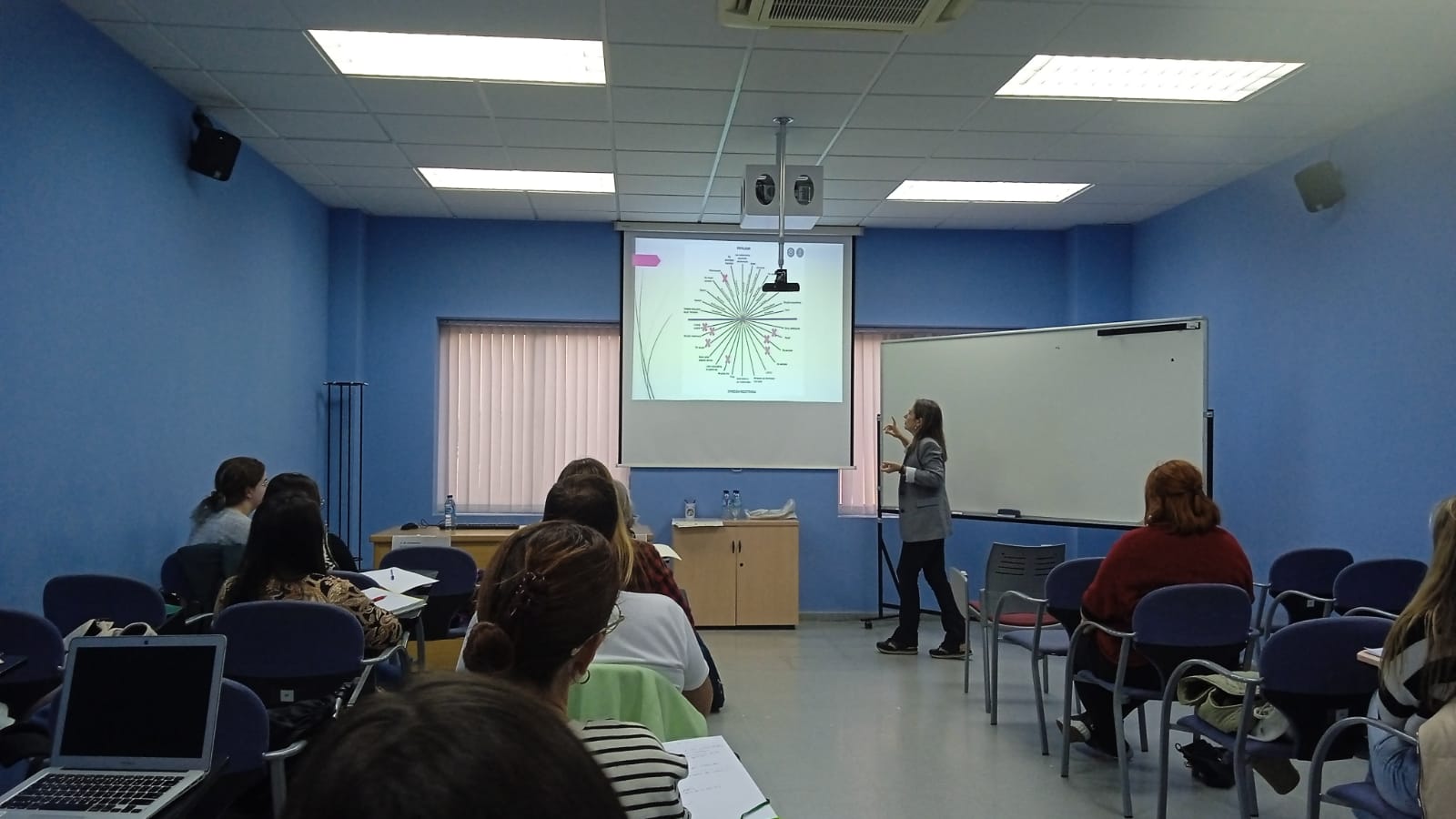 Taller VDG
