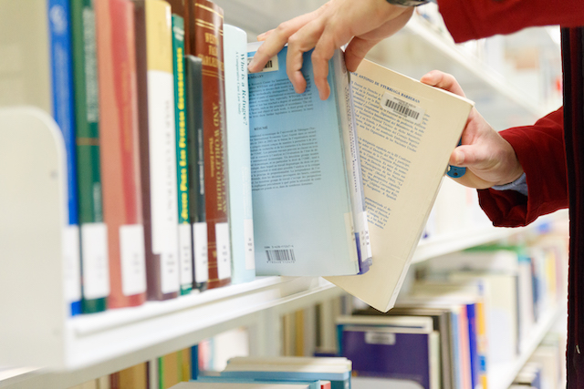 Imagen de archivo de la Biblioteca Universitaria