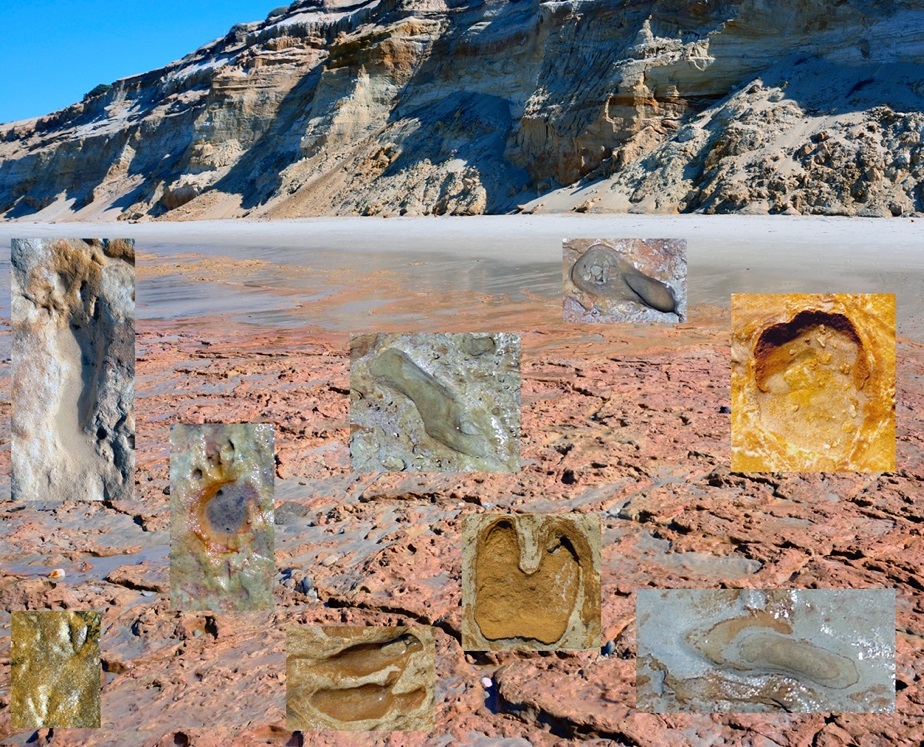 Huellas en la playa de Matalascañas