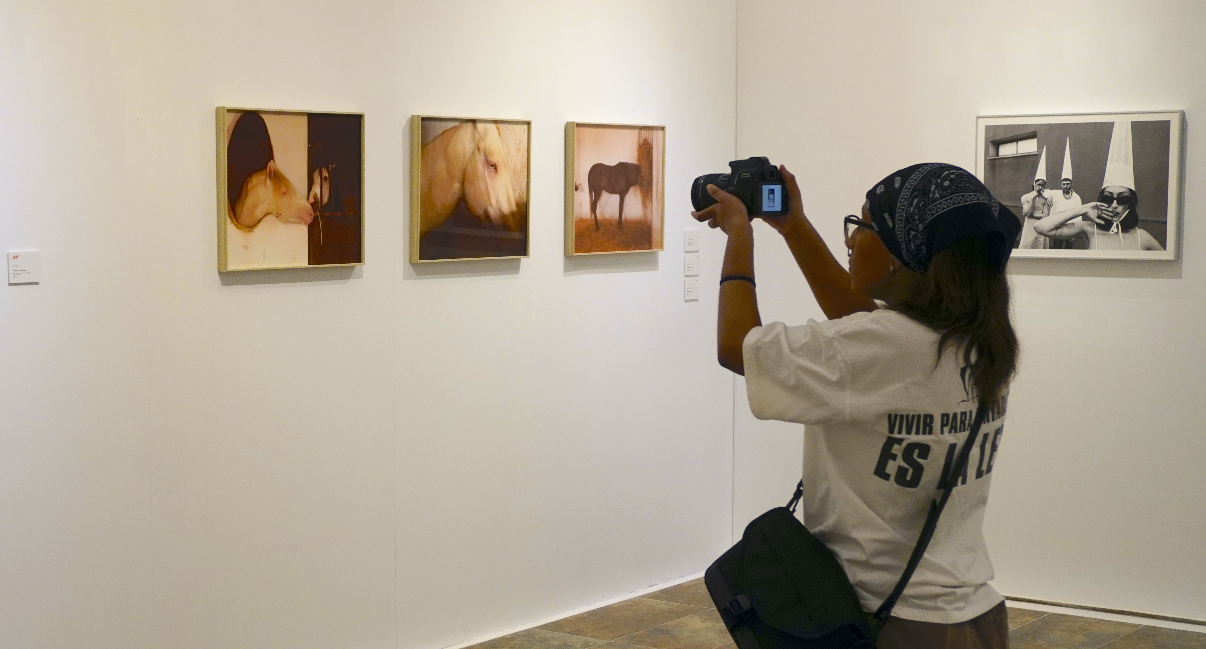 Inauguración exposición