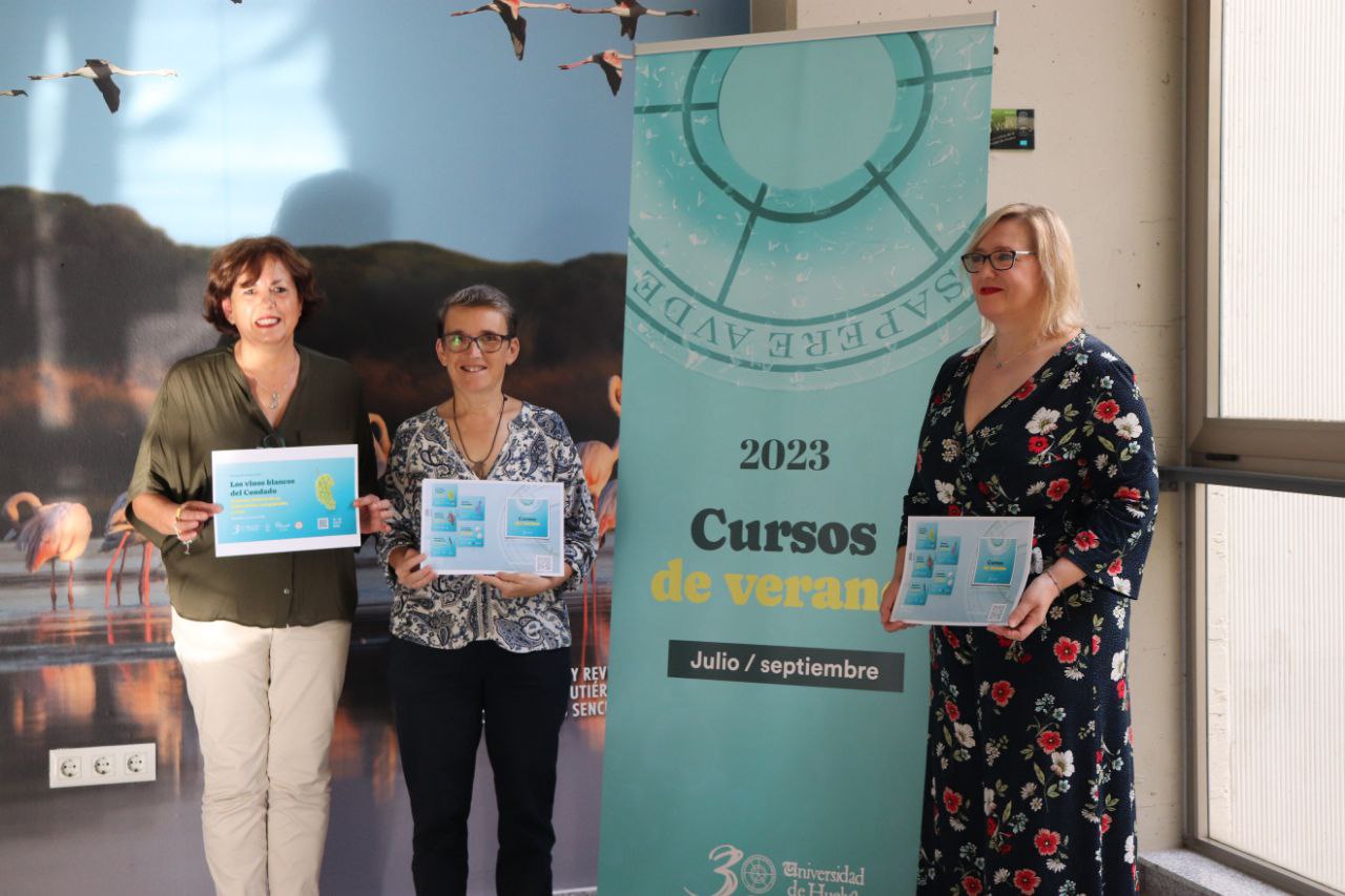 Imagen de presentación de los cursos de verano