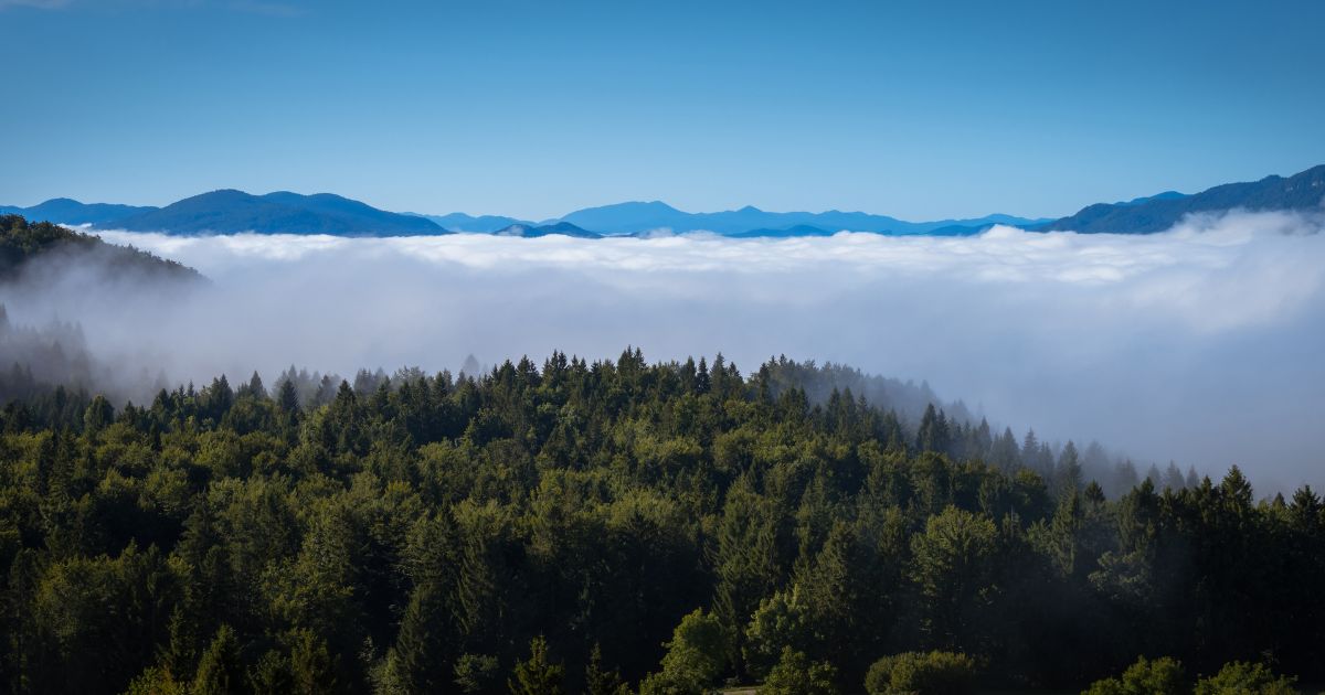 FIREPOCTEP+: un nuevo impulso a la prevención y lucha transfronteriza contra los incendios forestales financiado por la Unión Europea