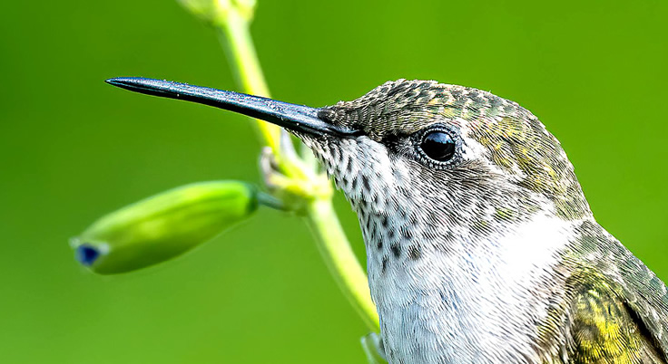 Compromiso salud mental
